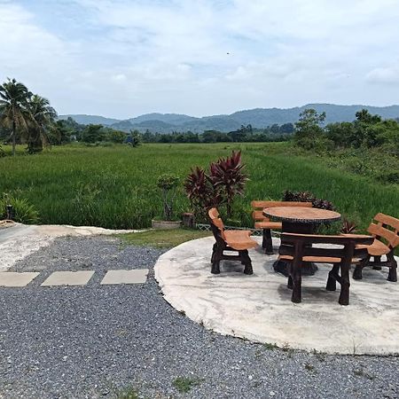 Damai D Homestay Кангар Экстерьер фото